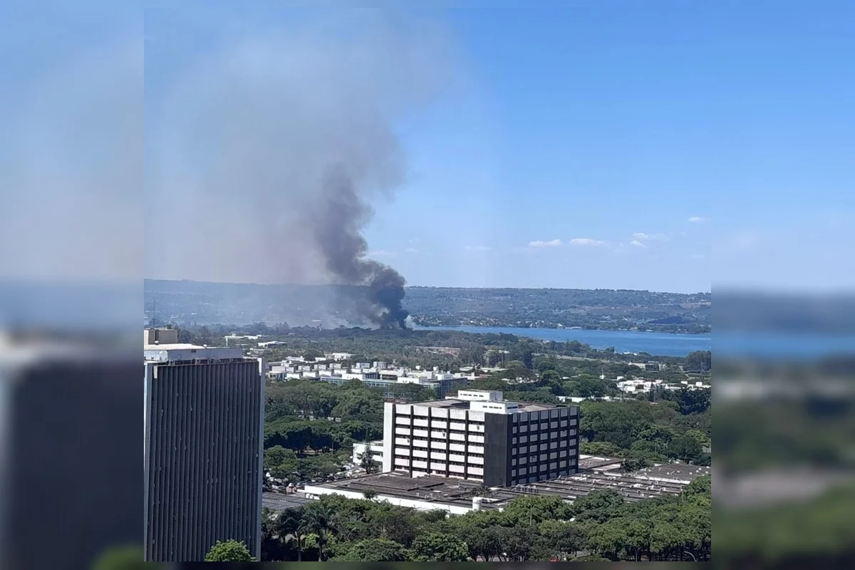 Um incêndio atingiu uma área de vegetação na Asa Norte (DF) Um incêndio atingiu uma área de vegetação na Asa Norte (DF)