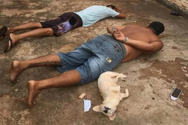 Cachorrinha “se entrega” à polícia durante prisão do dono por tráfico