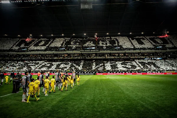 Imagem colorida da arena-mrv