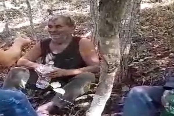 Idoso de 82 anos resgatado após 8 dias em mata comeu cupim e bebeu urina para sobreviver