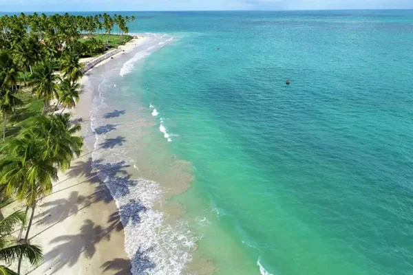 Preço caiu! Pacote Black Friday para Praia dos Carneiros sai por R$ 679