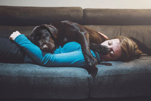 foto colorida cachorro dormindo encostado na tutora