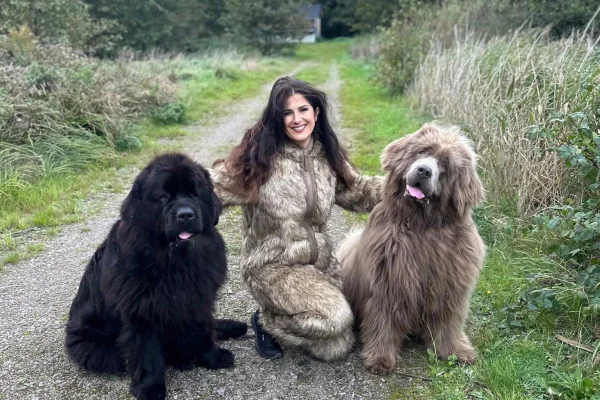 Tutora muda de casa por conta do tamanho de seus cães: “Parecem ursos”