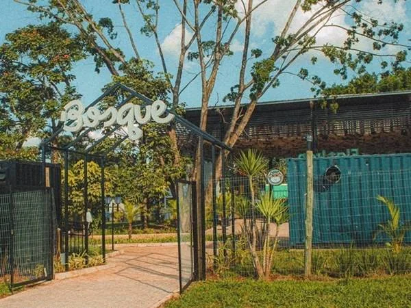 Bosque Park Experience: gastronomia e entretenimento a céu aberto