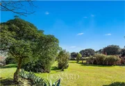 Ilha com forte napoleônico é colocada à venda na Itália por R$ 33 milhões - imagem 4 Ilha com forte napoleônico é colocada à venda na Itália por R$ 33 milhões - imagem 4