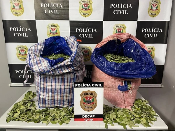 Imagem mostra folhas de coca; homem que carregava os sacos foi autuado por tráfico de drogas - Metrópoles