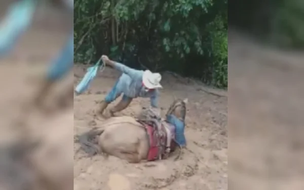 goias cavalo atolado