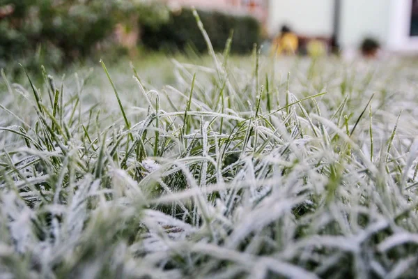 Ainda há chance de neve para esta madrugada - Metrópoles