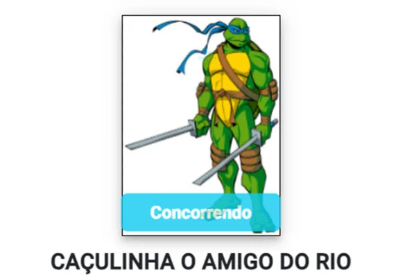 Candidato é registrado no sistema do TSE com foto de Tartaruga Ninja