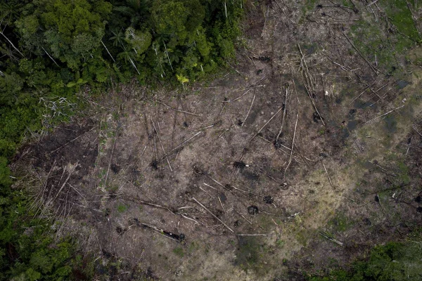 Imagem colorida de desmatamento na Amazônia