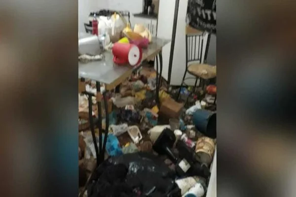 Vídeo: polícia resgata mais de 20 gatos em situação insalubre