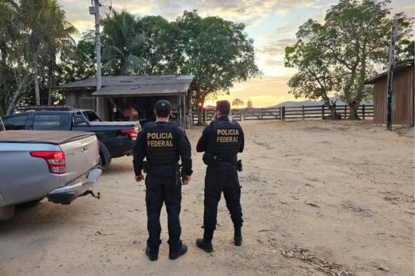 MPF quer leiloar carros de grupo ligado a maior devastador da Amazônia