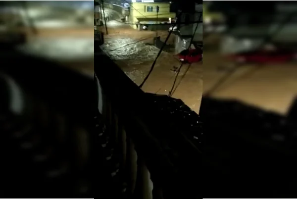 Enxurrada arrasta mulher, que ainda é picada por cobra em Minas. Veja vídeo