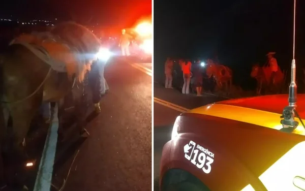 Cavaleiros são atingidos por motociclista na GO-480, em Rialma