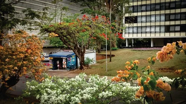 Asa Sul e Lago Sul têm a maior proporção de famílias ricas do país