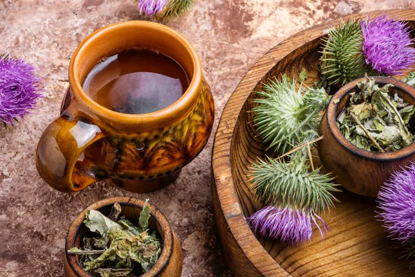Foto colorida de uma planta medicinal de cor roxa, e um chá feito dela em uma xícara ao lado - Metrópoles.
