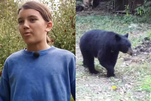 Menino atacado por urso nos EUA - Metrópoles