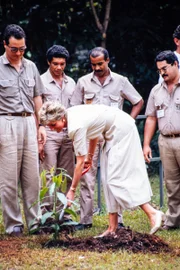 Momento em que Lady Di planta castanheira