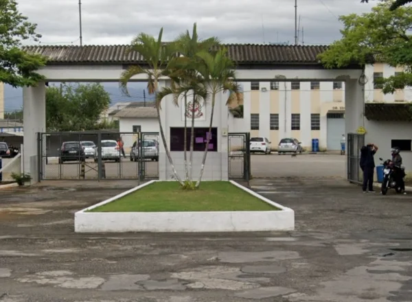 Imagem mostra portal, com palmeira em primeiro plano - Metrópoles