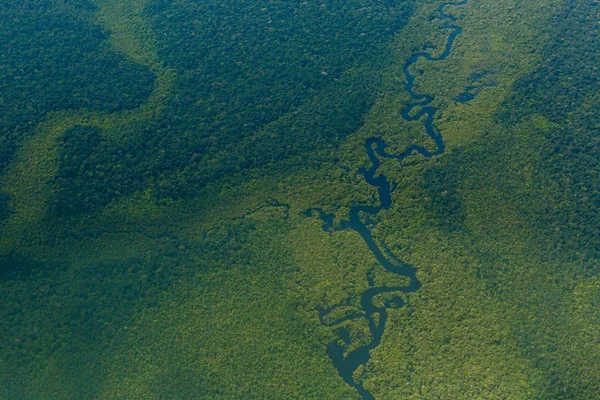 Floresta amazônica