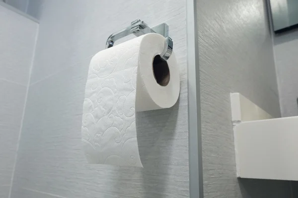 Imagem mostra papel higiênico pendurado em suporte no banheiro - Metrópoles