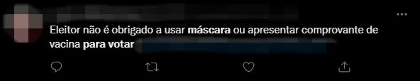 É falso que eleitor precisa estar de máscara facial para votar - imagem 4 É falso que eleitor precisa estar de máscara facial para votar - imagem 4