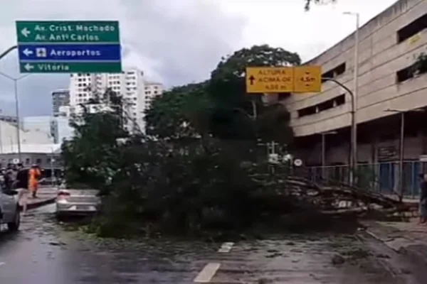 Chuva forte causa alagamentos, queda de árvores e deixa um morto em BH