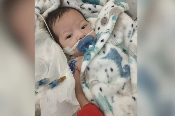 Um bebê de dois meses que tem uma doença rara no fígado e havia sido transferido do Distrito Federal para São Paulo na manhã do último sábado (25/5) ainda aguarda por transplante. Francysco Junior Rodrigues da Conceição foi transferido com urgência do Hospital da Criança de Brasília (HCB) para o Hospital Menino de Jesus, em São Paulo devido a gravidade da doença conhecida como Doença da Urina do Xarope de Bordo. 