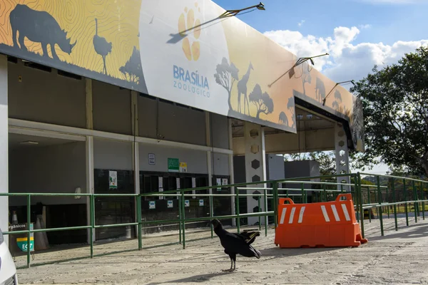 Zoológico de Brasília é fechado por suspeita de casos de gripe aviária - metrópoles