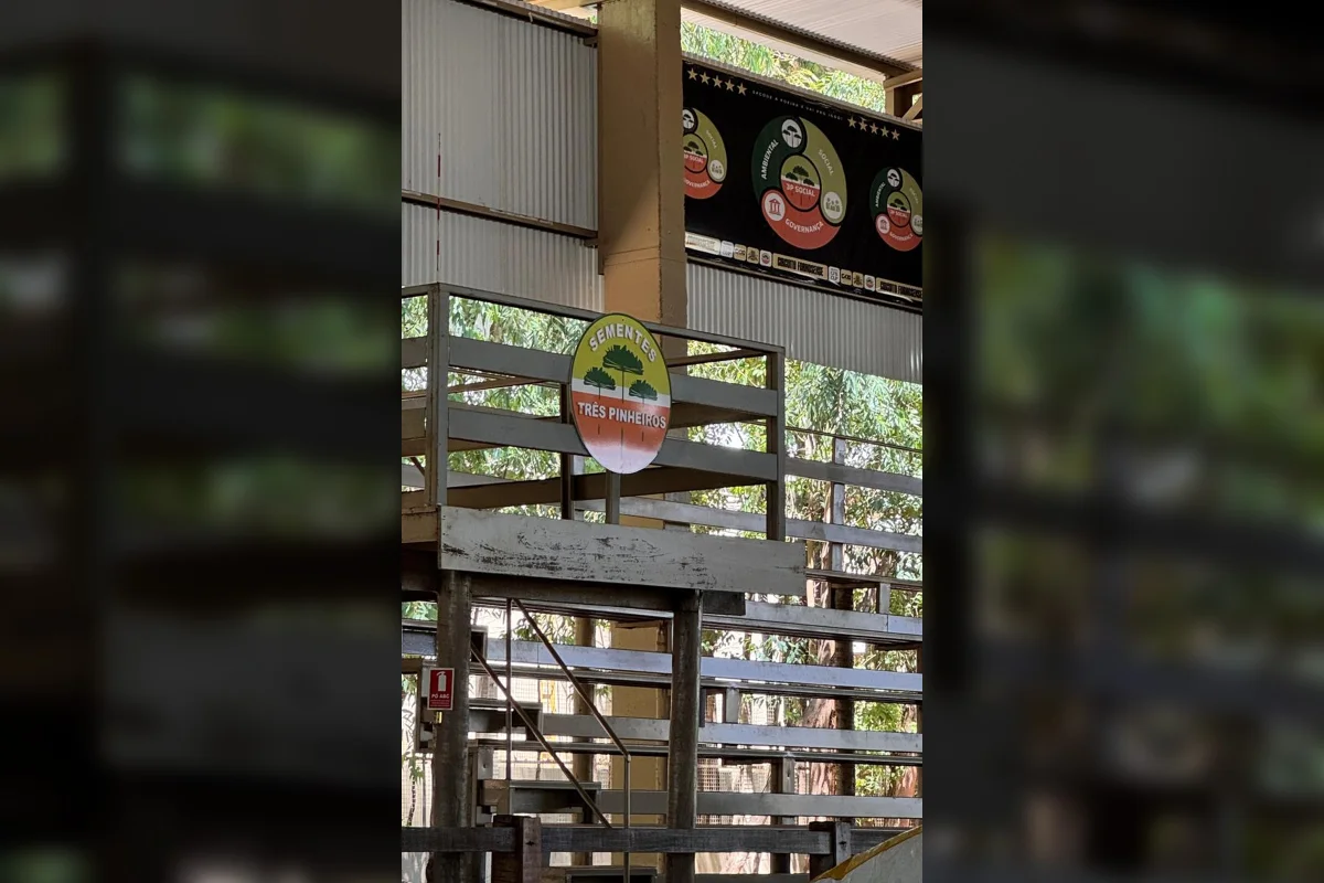 Almoço promovido pela Três Pinheiros Sementes Almoço promovido pela Três Pinheiros Sementes