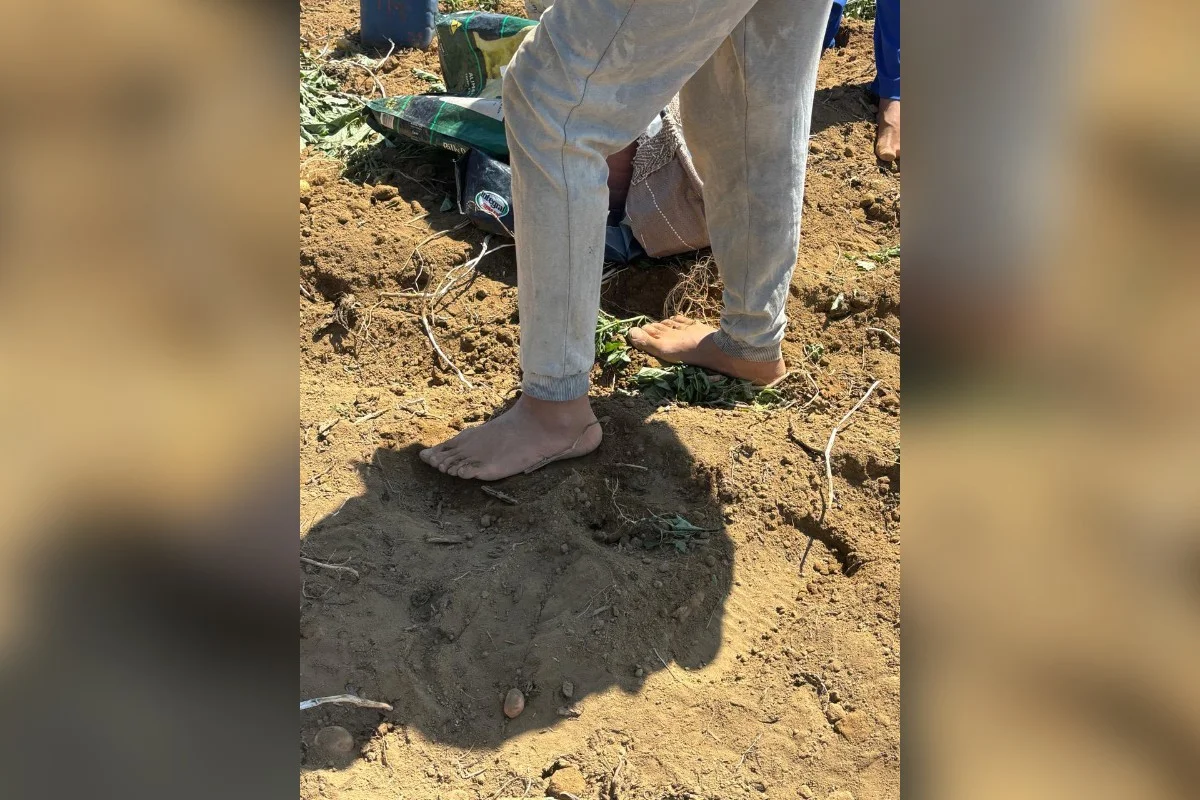 O trabalho análogo à escravidão continua sendo identificado tanto no campo quanto nas cidades O trabalho análogo à escravidão continua sendo identificado tanto no campo quanto nas cidades