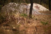 Várias casas estão sendo erguidas no local; materiais de construção foram vistos no local Várias casas estão sendo erguidas no local; materiais de construção foram vistos no local
