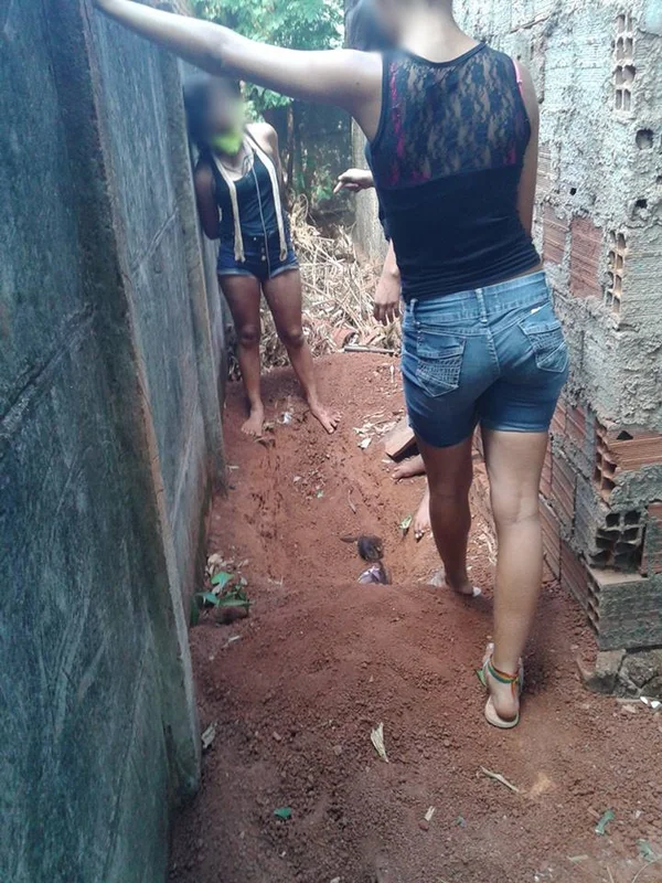 Jovem é preso por torturar e fazer ex-namorada comer fezes de animais