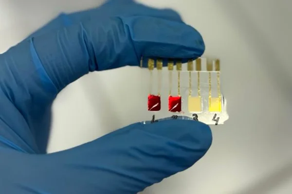 Imagem colorida de biossenssor criando por pesquisadores brasileiros para detectar câncer em fase inicial - Metrópoles