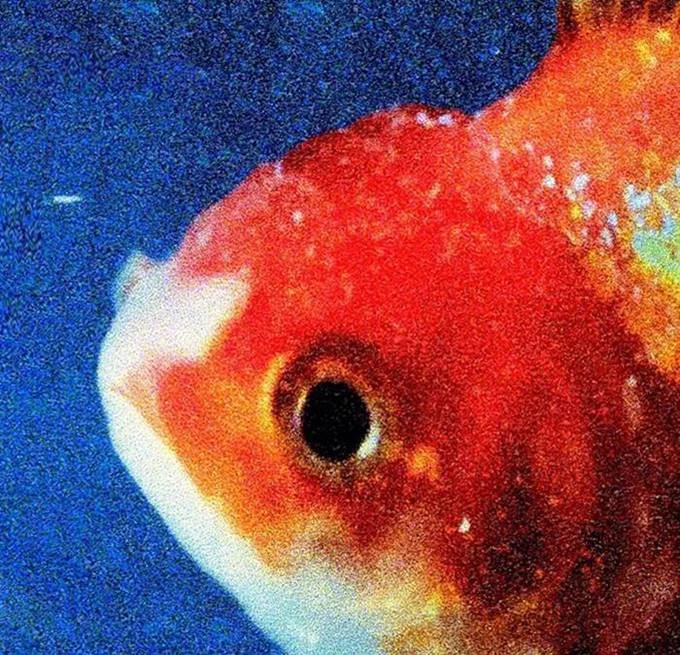 <b>"Big Fish Theory"</b>, de Vince Staples. O segundo disco de estúdio rapper não chega a superar "Summertime '06" (2015), mas tem uma generosa dose de inventividade: rimas incorporadas a estilos eletrônicos como house e dance. "Rain Come Down" e "BagBak" são audições viciantes. <a href="https://open.spotify.com/album/1qnEwPuG3l4PqRu8h3ULH7" target="_blank">Ouça</a> <b>"Big Fish Theory"</b>, de Vince Staples. O segundo disco de estúdio rapper não chega a superar "Summertime '06" (2015), mas tem uma generosa dose de inventividade: rimas incorporadas a estilos eletrônicos como house e dance. "Rain Come Down" e "BagBak" são audições viciantes. <a href="https://open.spotify.com/album/1qnEwPuG3l4PqRu8h3ULH7" target="_blank">Ouça</a>