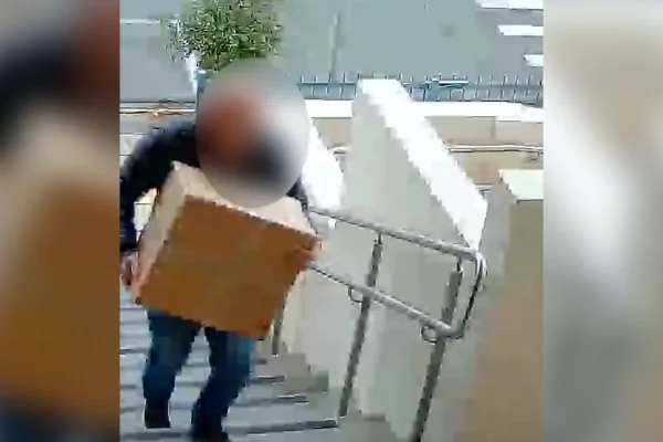 Câmera flagra homem dando caixa com cachorro morto a vereadora do RS