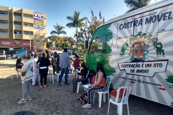 Mutirão de castração no DF