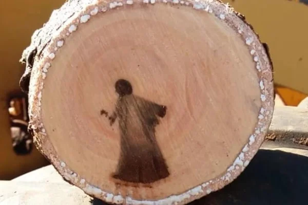 Mancha em árvore intriga cidade por semelhança com imagem de Jesus