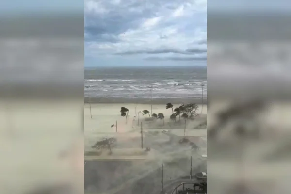 Com um morto e diversos estragos provocados pelos ventos no litoral paulista, governo deslocou um gabinete de crise para acompanhar - Metrópoles