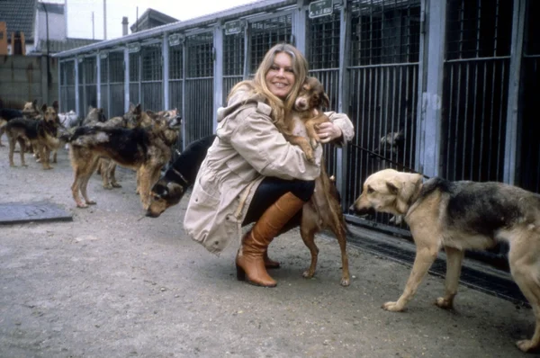 Atriz Brigitte Bardot foi ferrenha ativista em defesa da causa animal