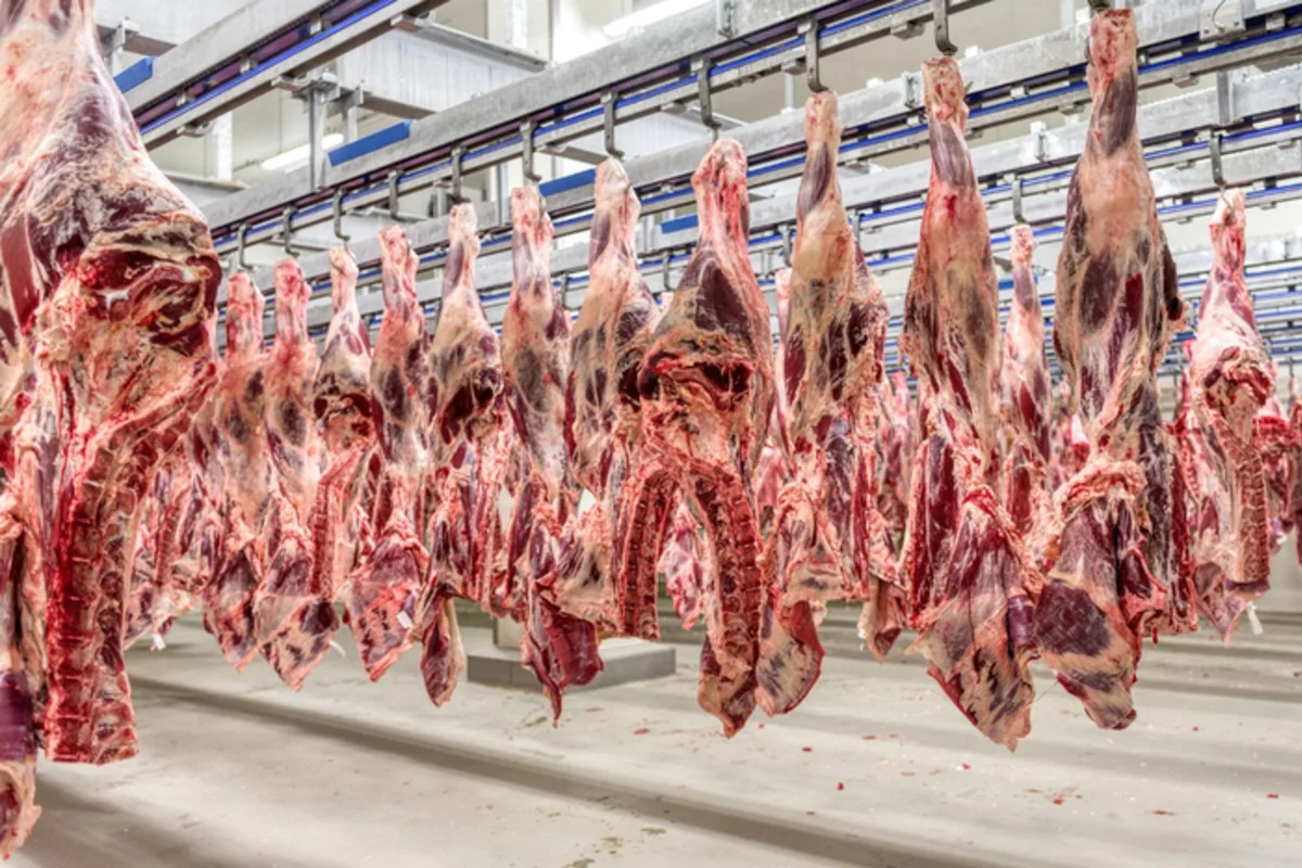 Carne em frigorífico Carne em frigorífico