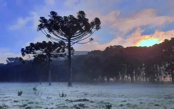 Ciclone se afasta, mas SC segue com ar polar e terá o retorno da geada