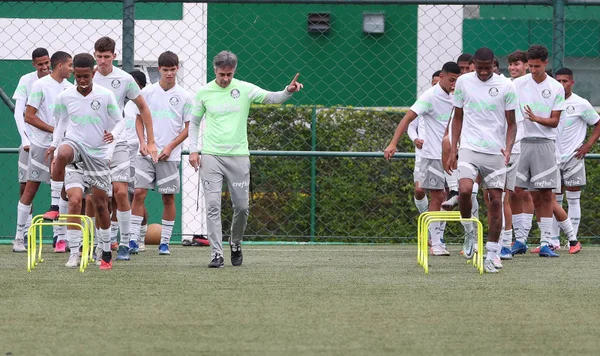Imagem colorida dos jogadores do Palmeiras treinando - Metrópoles