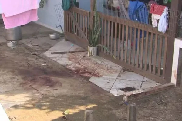 Homem morre após ser atacado por 4 pit-bulls em Florianópolis (SC)