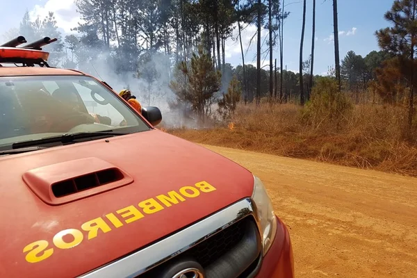 Fogo destrói o equivalente a mais de 100 campos de futebol na Flona