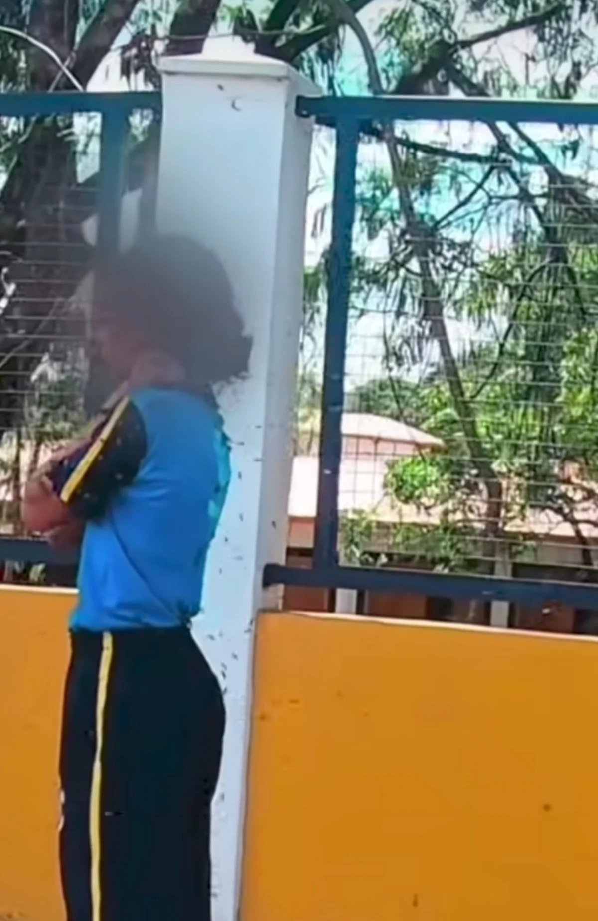Menina atacada por abelhas em MG Menina atacada por abelhas em MG