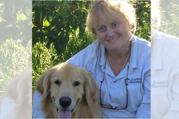 Mulher joga cão da raça golden retriever em lago e o assiste afogar