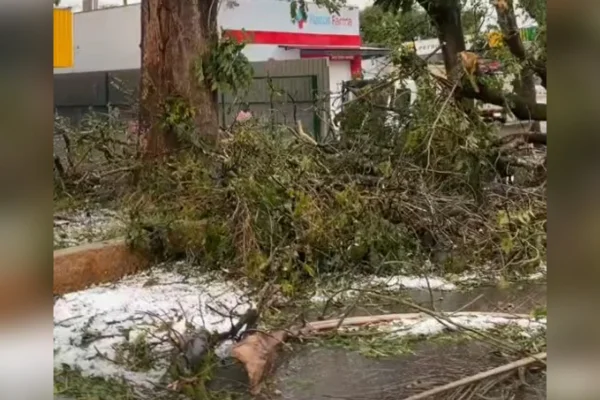 Chuva de granizo causa destruição em Boa Esperança