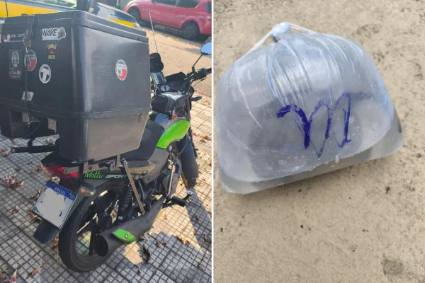 Arraia é resgatada dentro de sacola plástica transportada por motociclista