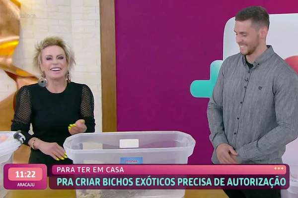A apresentadora do programa da Globo "Mais Você", Ana Maria Braga (esquerda), ri após brincadeira constragedora com veterinário (direita) bonito que ganhou cantadas ao vivo do público. Na frente deles, um balde plástico com um animal exótico dentro - Metrópoles
